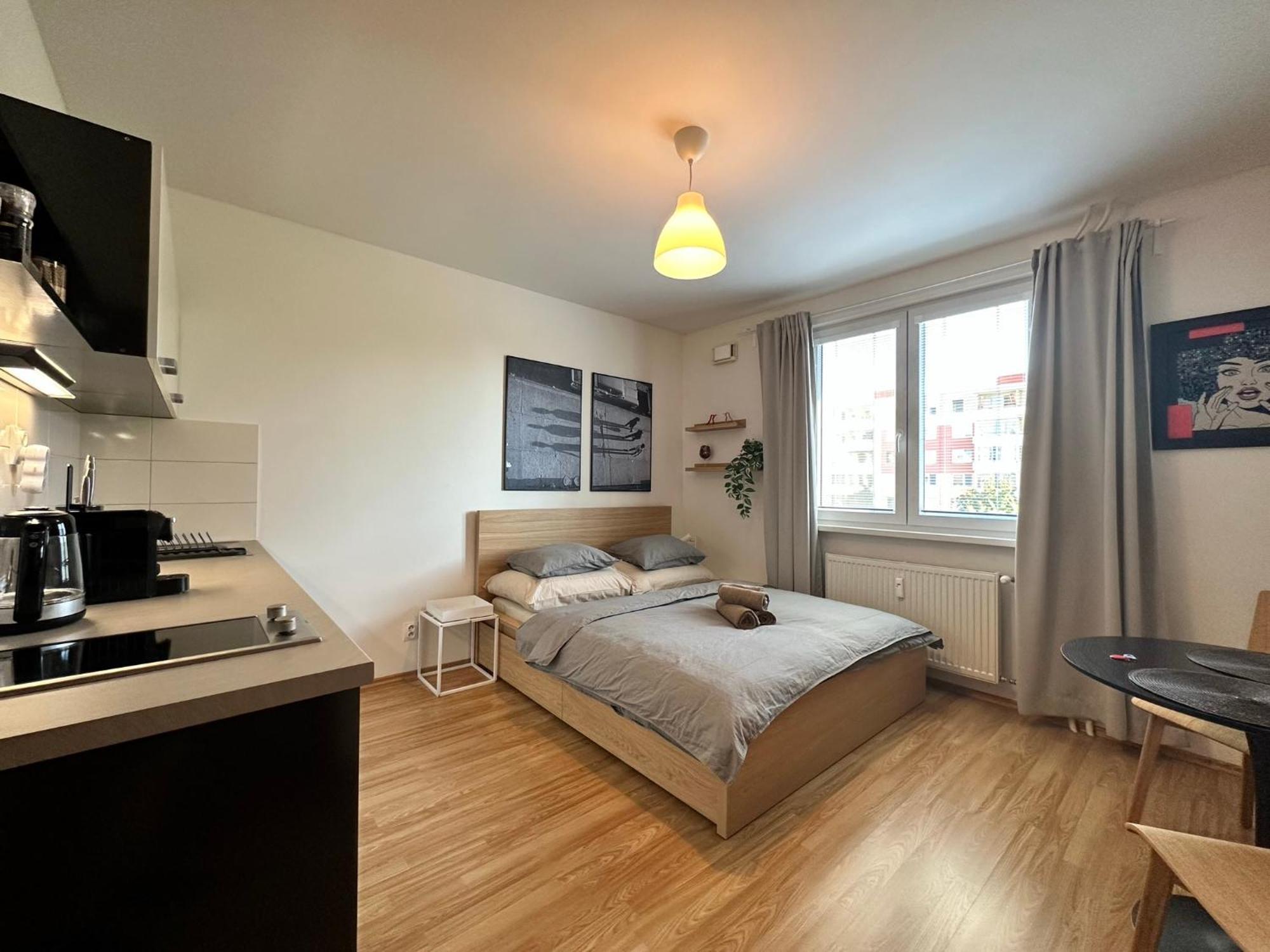Cozy Studio Apartment In The Wider Center Братислава Экстерьер фото